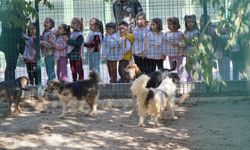 Minik Öğrencilerden Barınak Ziyareti