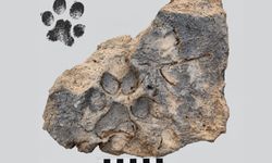 Tavşanlı Höyük Kazılarında Tarihe Işık Tutan Buluntu