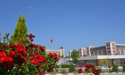 Bilecik Şeyh Edebali Üniversitesi Dünya Üniversiteleri Arasında