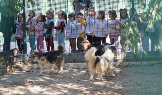 Minik Öğrencilerden Barınak Ziyareti