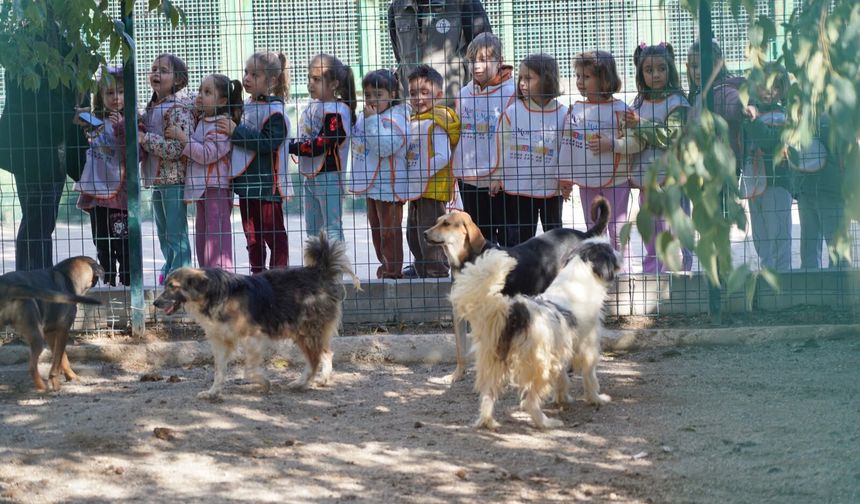 Minik Öğrencilerden Barınak Ziyareti